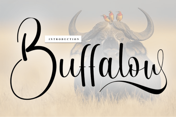 The Timeless Charm of Handwritten Typography: A Deep Dive into the Buffalow Font