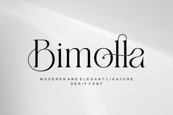 Understanding Bimolla: A Detailed Evaluation for Design Professionals